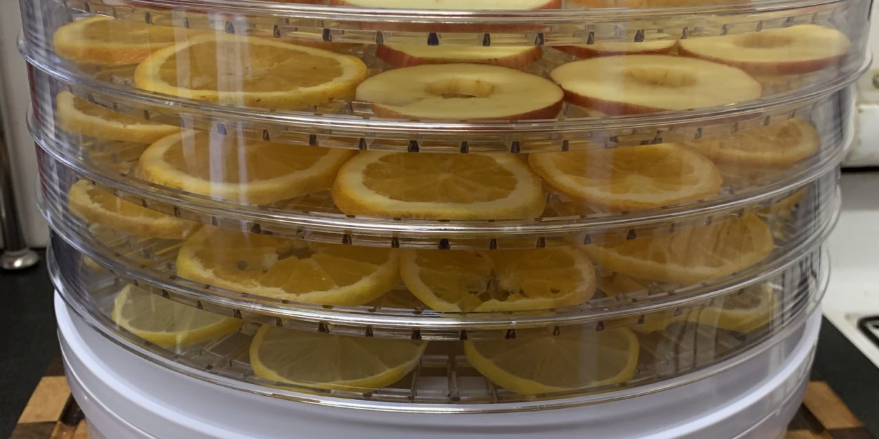The Food Dehydrator