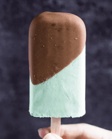 Mint Chocolate Chip Greek Yoghurt Popsicles