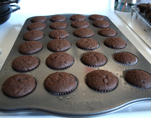 Dark Chocolate Mini Muffins